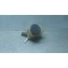 Recambio de deposito servo para toyota avensis berlina (t 22) 2.0 td luna (5-ptas.) referencia OEM IAM   