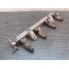 Recambio de rampa inyectora para kia rio 1.2 cat referencia OEM IAM   