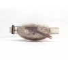Recambio de deposito expansion para opel vivaro furgón/combi (07.2006 =>) combi 2.9t l1h1 referencia OEM IAM 7700312900  