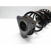 Recambio de amortiguador delantero izquierdo para renault clio iii authentique referencia OEM IAM   