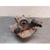 Recambio de mangueta delantera derecha para kia carens 1.8 ls monovolumen referencia OEM IAM   