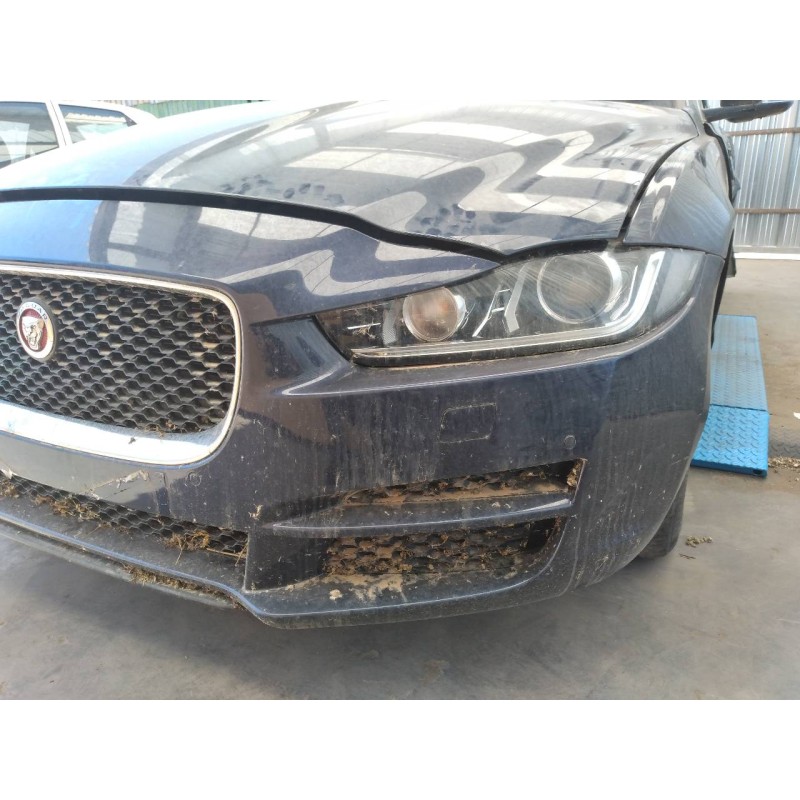 jaguar xe del año 2017