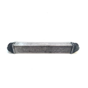 INTERCOOLER A1695000000 Q04G0976002 