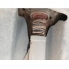 Recambio de amortiguador trasero derecho para volkswagen touran (1t2) advance bluemotion referencia OEM IAM 1T0512011AM  