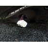 Recambio de retrovisor derecho para mazda 5 berl. (cr) 2.0 crtd sportive (105kw) referencia OEM IAM   