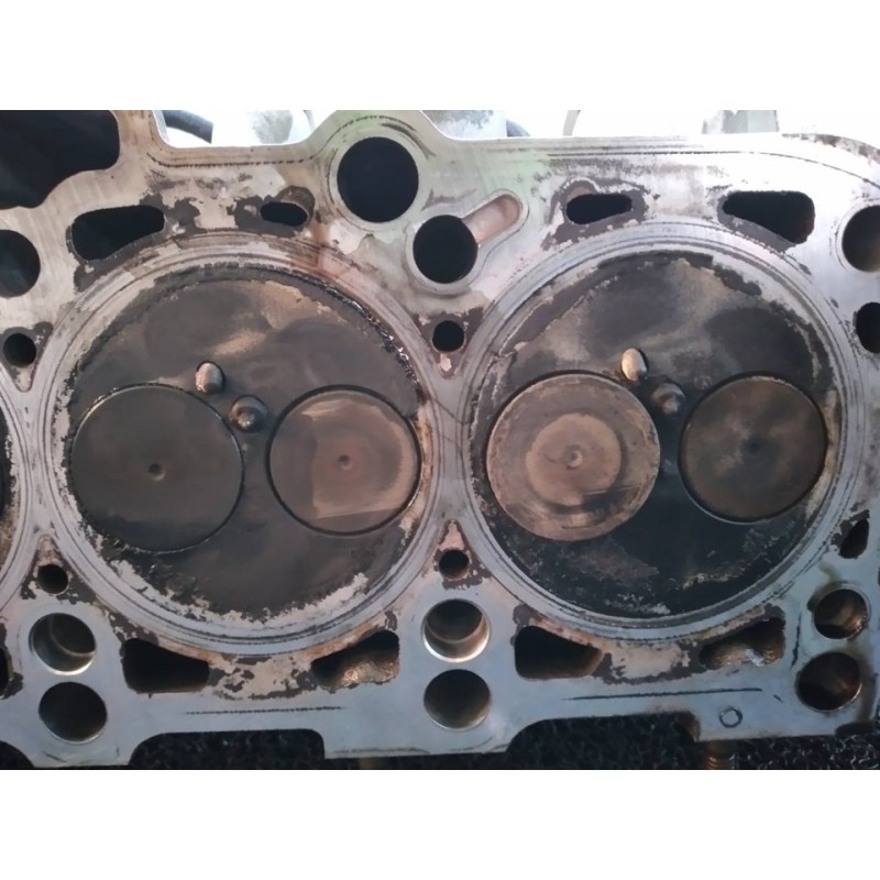Recambio de culata para seat ibiza (6k1) stella referencia OEM IAM 038103373E - Blanco 5
