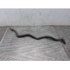 Recambio de tubo para dacia sandero stepway referencia OEM IAM 217415678R  