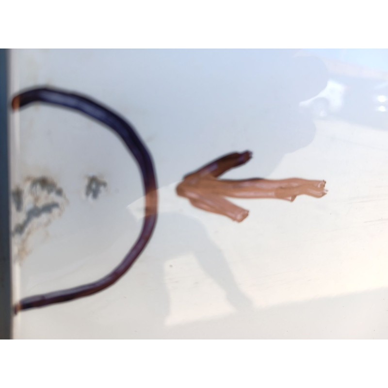 Recambio de puerta delantera derecha para kia ceed tourer (cd) 1.0 t-gdi referencia OEM IAM - Blanco 4