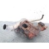 Recambio de turbocompresor para nissan cabstar e 2.7 td referencia OEM IAM 14411G2407  