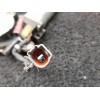 Recambio de elevalunas delantero derecho para toyota celica (t20) referencia OEM IAM  129529 