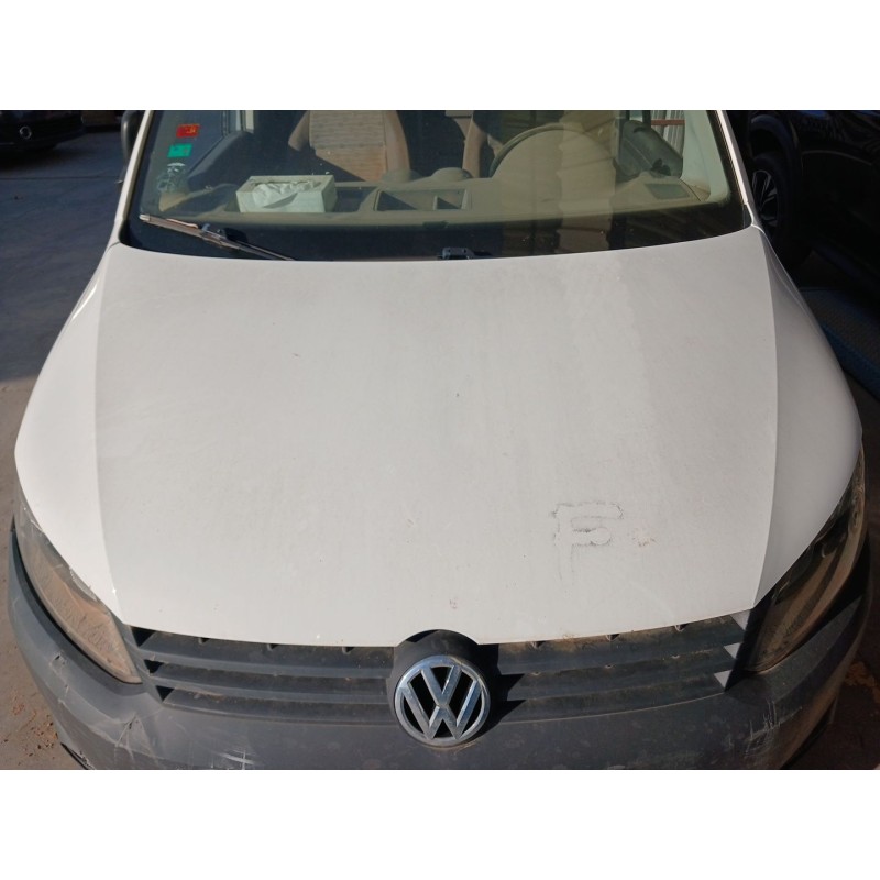 Recambio de capo para volkswagen caddy iii furgoneta/monovolumen (2ka, 2kh, 2ca, 2ch) 1.6 tdi referencia OEM IAM   