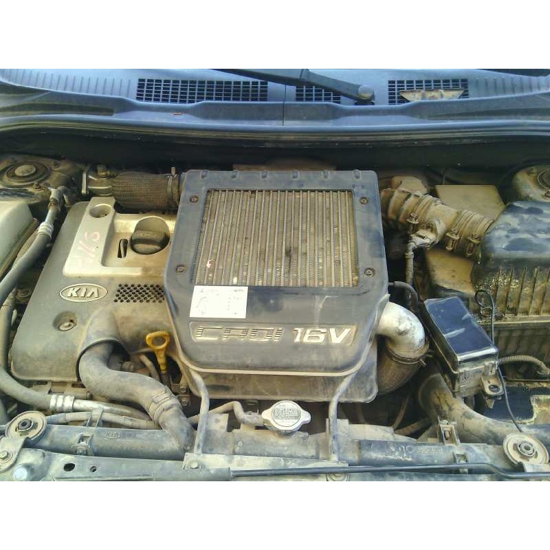 kia carens del año 2004