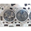 Recambio de culata para ford fiesta (ccn) trend referencia OEM IAM 1V256X0613B  