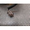 Recambio de retrovisor derecho para nissan almera (n16/e) comfort referencia OEM IAM   