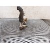 Recambio de bomba embrague para nissan cabstar e 3.0d referencia OEM IAM   