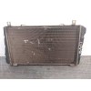 Recambio de radiador agua para skoda felicia berlina ( 791) glx referencia OEM IAM 441076014076 443511158102 0509002