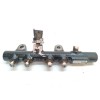 Recambio de rampa inyectora para dacia lodgy ambiance referencia OEM IAM H8201157327 175215346R 132702310