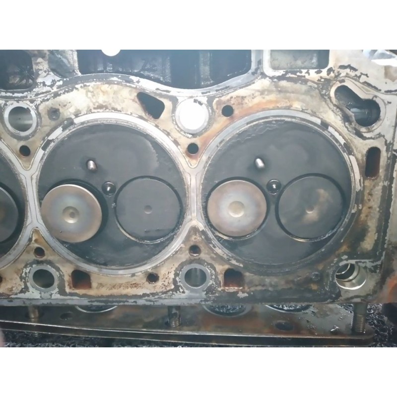 Recambio de culata para renault scenic ii grand expression referencia OEM IAM 5