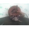 Recambio de mangueta delantera izquierda para ford fiesta (cbk) 1.6 tdci cat referencia OEM IAM  60555 