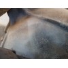 Recambio de diferencial trasero para toyota rav 4 funcruiser (a1) básico referencia OEM IAM 17SA  