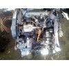 Recambio de motor completo para seat ibiza (6l1) 1.9 sdi referencia OEM IAM ASY  