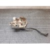 Recambio de cerradura puerta delantera izquierda para hyundai h 1 referencia OEM IAM  84545 