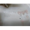 Recambio de aforador para nissan almera (n16/e) 1.5 dci turbodiesel cat referencia OEM IAM 0580300006 170405M311212 