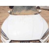 Recambio de capo para audi a5 sportback (f5a) sport referencia OEM IAM   