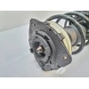 Recambio de amortiguador delantero izquierdo para renault clio iii expression referencia OEM IAM   
