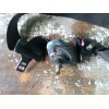 Recambio de cinturon seguridad delantero izquierdo para ford puma (cce) 1.7 16v cat referencia OEM IAM   
