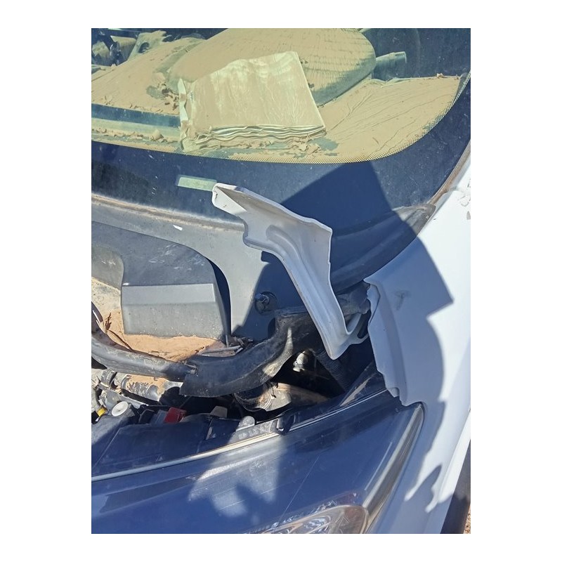 Recambio de bisagra capo izquierda para fiat ducato maxi chasis cabina 35 (290) l5 pritsche rs: 4035 mm 160 referencia OEM IAM  
