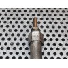 Recambio de calentadores para nissan almera (n16/e) 2.2 16v turbodiesel cat referencia OEM IAM KN31  