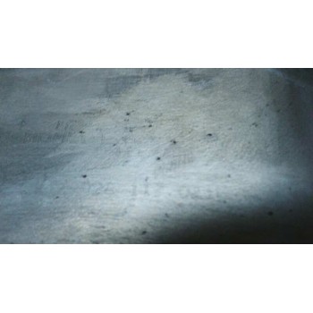 ENFRIADOR ACEITE MOTOR 028117021B 