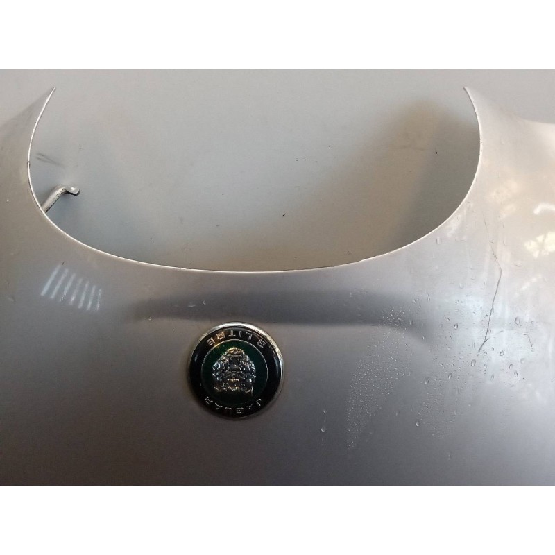 Recambio de capo para jaguar s-type 3.0 v6 referencia OEM IAM - Gris 4