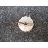 Recambio de tapon combustible para mazda 5 berl. (cr) 2.0 crtd sportive (105kw) referencia OEM IAM   