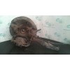 Recambio de mangueta delantera izquierda para mg serie 45 (rt) 1.6 16v cat referencia OEM IAM  133771 