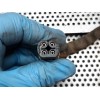 Recambio de sonda lambda para smart coupe 0.7 turbo cat referencia OEM IAM A0025102317 0258006563564 