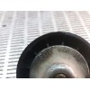 Recambio de tensor correa auxiliar para fiat doblo cargo (223) 1.3 jtd referencia OEM IAM 46819146  