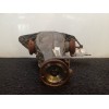 Recambio de diferencial trasero para audi a4 ber. (b8) básico quattro referencia OEM IAM 3190408 3R21 DAR525053