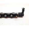 Recambio de rampa inyectora para renault laguna ii (bg0) confort dynamique referencia OEM IAM 0445214114 0281002753 