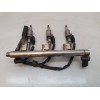 Recambio de rampa inyectora para ford fiesta (ccn) trend referencia OEM IAM DM5G9H487AA 0261545039 BOSCH