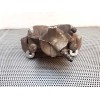 Recambio de pinza de freno delantera derecha para dacia duster ambiance 4x4 referencia OEM IAM 951 345T 