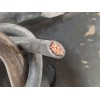 Recambio de bomba direccion para ford fiesta iv (ja_, jb_) 1.8 di referencia OEM IAM 1830984100  