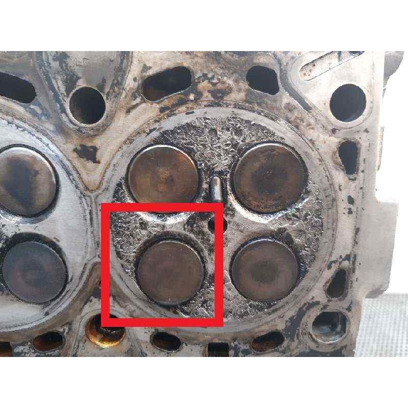 Recambio de culata para bmw serie 5 berlina (e39) 525d exclusive referencia OEM IAM - Azul 5