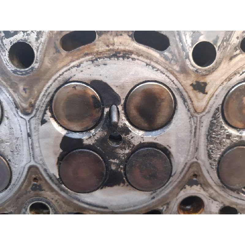 Recambio de culata para bmw serie 5 berlina (e39) 525d exclusive referencia OEM IAM - Azul 10