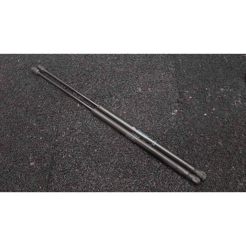 Recambio de amortiguadores maletero / porton para peugeot 1007 dolce referencia OEM IAM   
