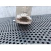 Recambio de motor cierre tapa combustible para audi a3 (8p) 1.9 tdi referencia OEM IAM 8P0862153A  
