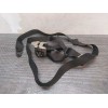 Recambio de cinturon seguridad delantero derecho para ford focus c-max (cap) 1.6 tdci cat referencia OEM IAM   