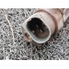 Recambio de inyector para mercedes-benz vaneo (w414) furgoneta compacta 1.7 cdi vaneo (414.700) referencia OEM IAM 0445110090 A6
