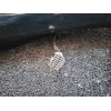 Recambio de retrovisor izquierdo para renault espace / grand espace (je0) 2.0 16v expression referencia OEM IAM   